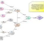 Relationship Nodes in NVivo